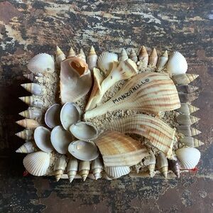 Vintage Manzanillo Mexico Souvenir Shell Box
